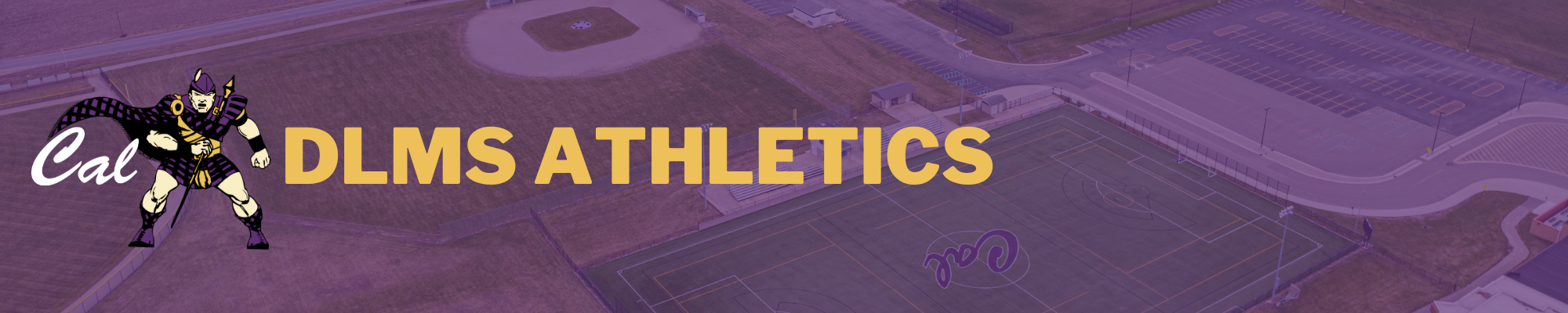 DLMS Athletics Graphic Image