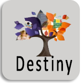 Destiny Link to Destiny
